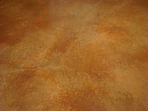 Concrete Floor Staining and Polishing Services in Dallas, Texas